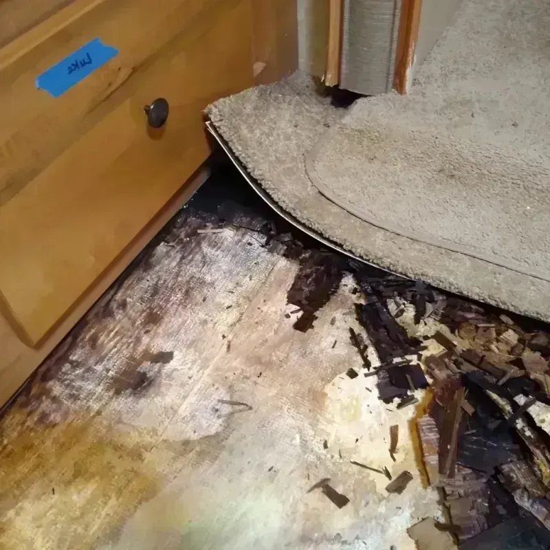 Wood Floor Water Damage in Dunkirk, MD